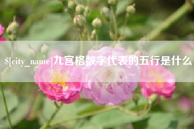 安岳九宫格数字代表的五行是什么