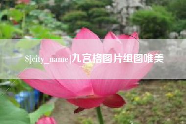 安岳九宫格图片组图唯美