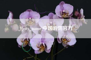 安岳中国消防官方