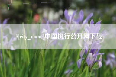 安岳中国执行公开网下载