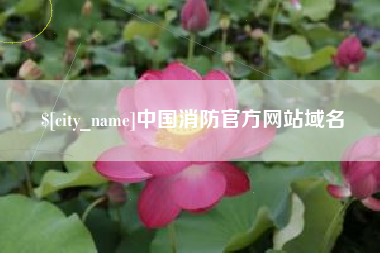 安岳中国消防官方网站域名