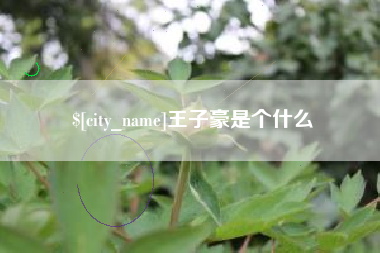 安岳王子豪是个什么