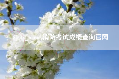 安岳消防考试成绩查询官网