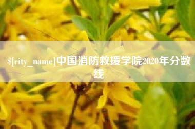 安岳中国消防救援学院2020年分数线