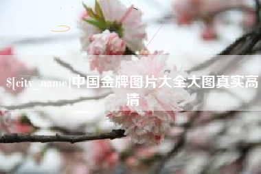 安岳中国金牌图片大全大图真实高清