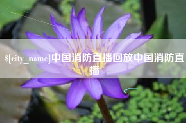 安岳中国消防直播回放中国消防直播
