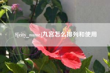 安岳九宫怎么排列和使用