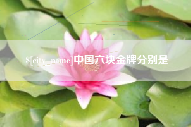 安岳中国六块金牌分别是