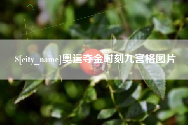 安岳奥运夺金时刻九宫格图片