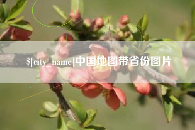 安岳中国地图带省份图片