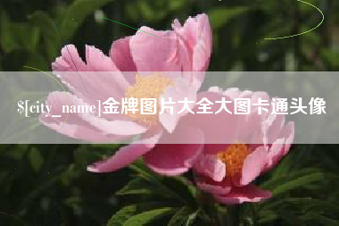 安岳金牌图片大全大图卡通头像