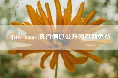 安岳执行信息公开网查询免费