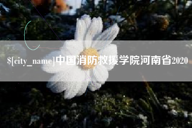 安岳中国消防救援学院河南省2020
