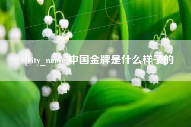 安岳中国金牌是什么样子的